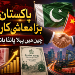 پاکستان نے چین کی مالیاتی منڈی میں پانڈا بانڈ جاری کر دیا